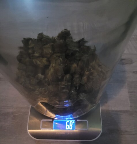Growreport Bild 1