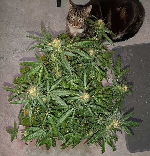 Growreport Bild 14
