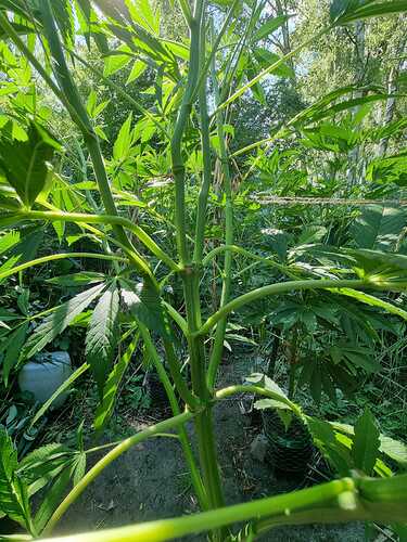 Growreport Bild 4