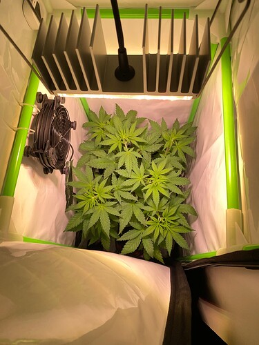 Growreport Bild 3