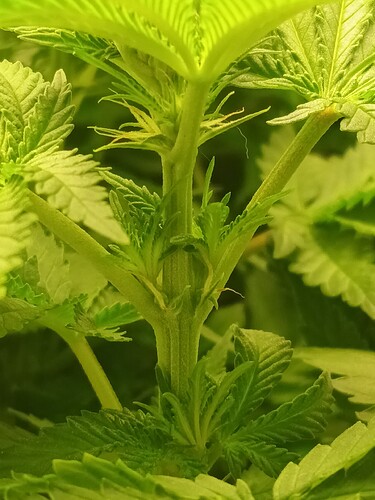 Growreport Bild 21