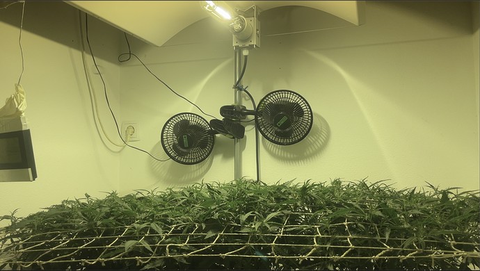 Growreport Bild 14