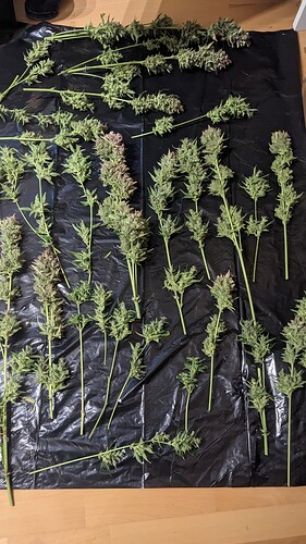 Growreport Bild 8