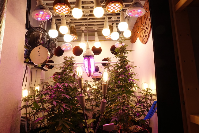 Growreport Bild 23