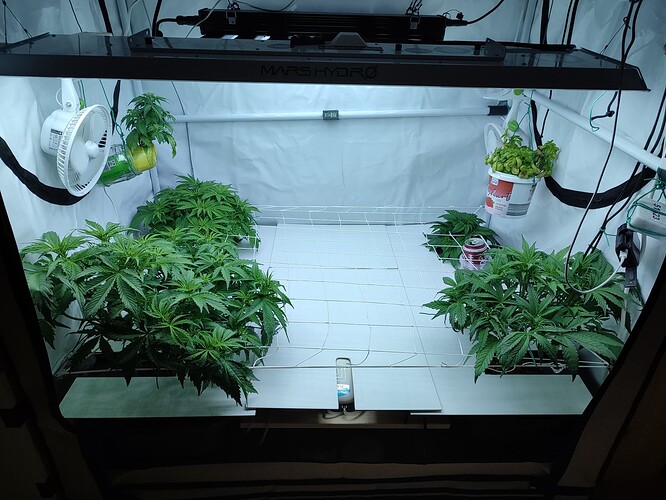 Growreport Bild 36