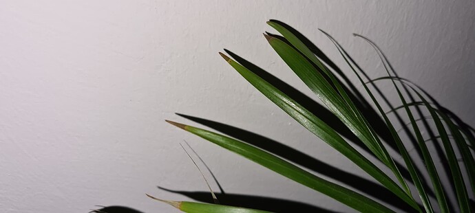 16470656526337319786174416867727