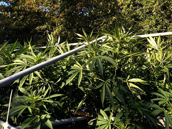 Growreport Bild 11