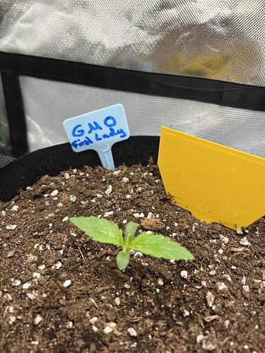 Growreport Bild 1