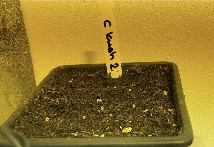 Growreport Bild 20
