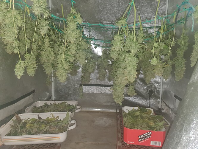 Growreport Bild 10