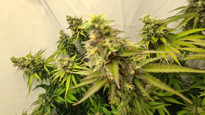 Growreport Bild 10