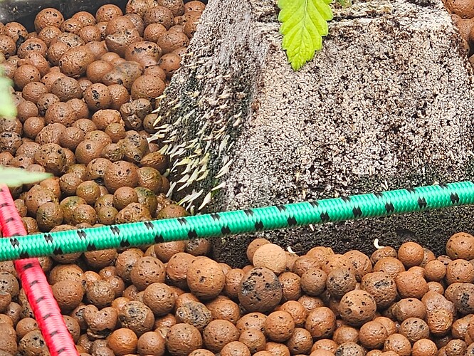 Growreport Bild 9