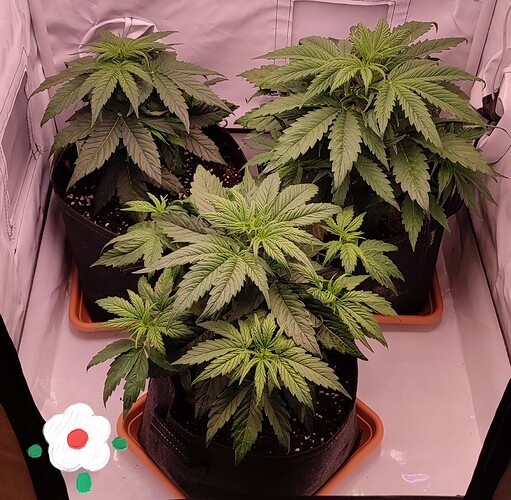 Growreport Bild 11