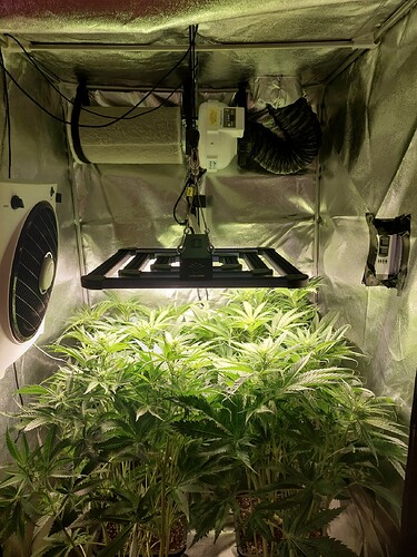 Growreport Bild 5