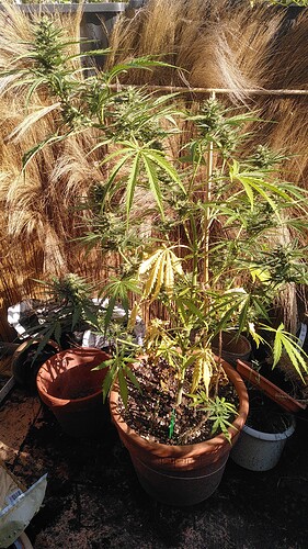 Growreport Bild 18