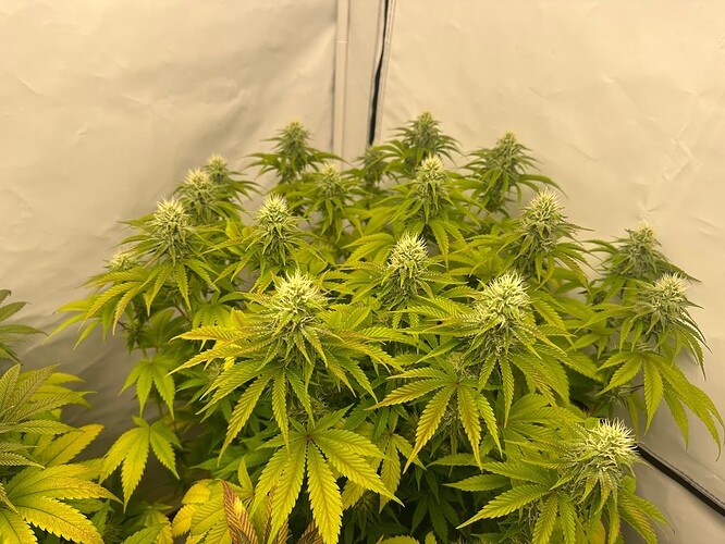 Growreport Bild 12
