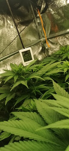 Growreport Bild 3