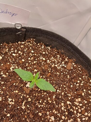 Growreport Bild 5