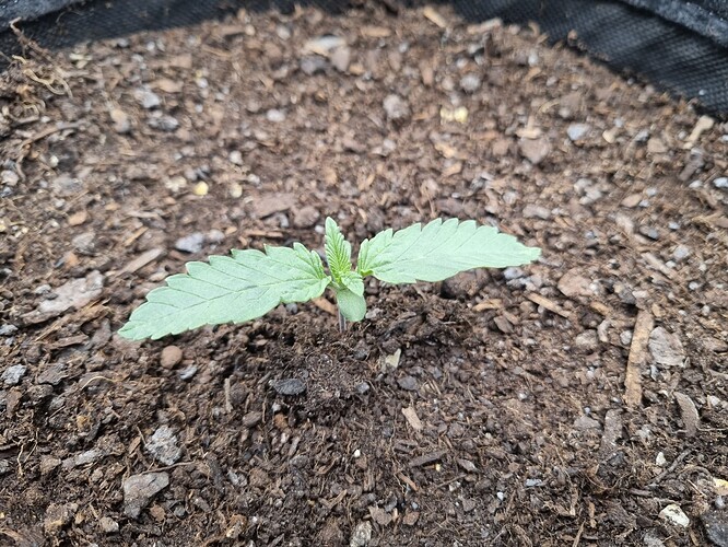 Growreport Bild 17