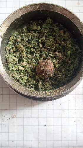 Growreport Bild 29