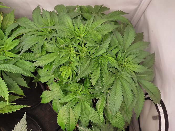 Growreport Bild 14
