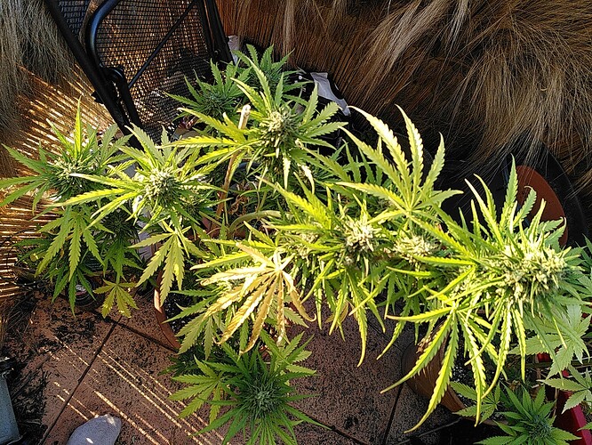 Growreport Bild 8