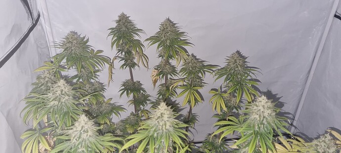 Growreport Bild 10