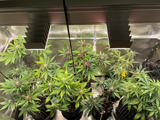 Growreport Bild 2