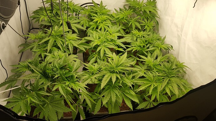 Growreport Bild 6
