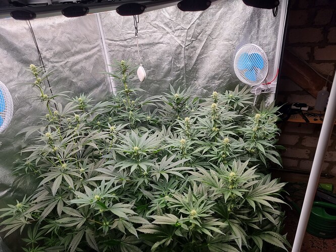 Growreport Bild 18