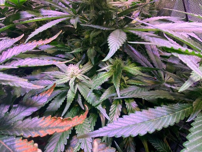 Growreport Bild 11