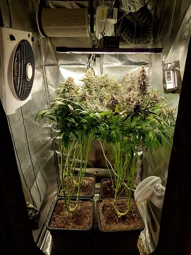 Growreport Bild 5