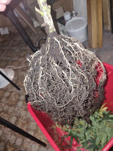 Growreport Bild 8