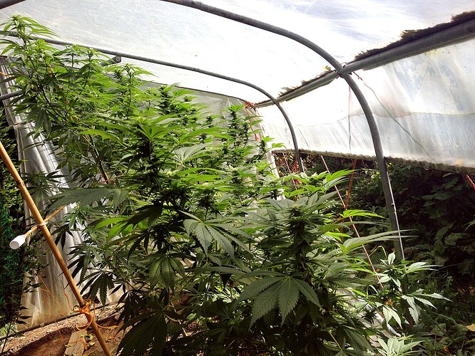 Growreport Bild 12