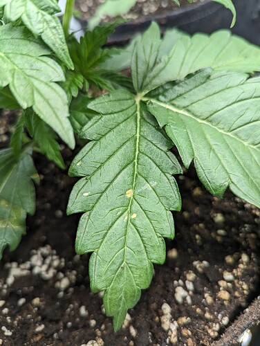 PXL_20231110_132332309