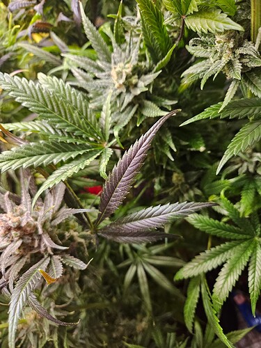 Growreport Bild 12