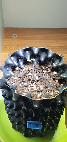 f1d1e370-758d-4f04-9e46-1cc74a5bb097