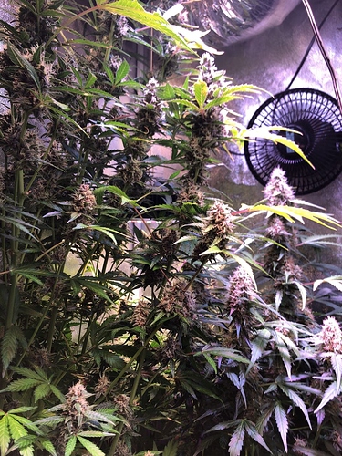 Growreport Bild 9