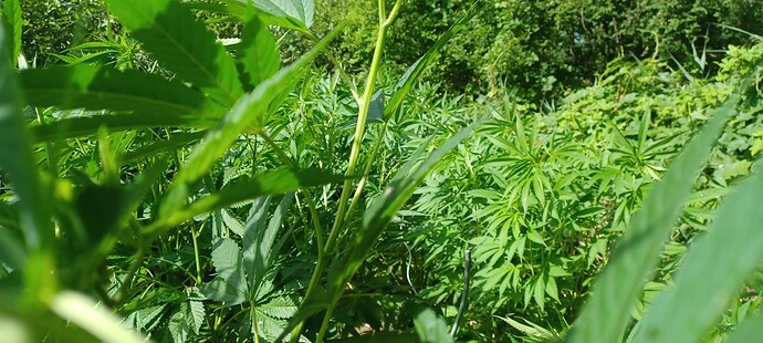 Growreport Bild 4