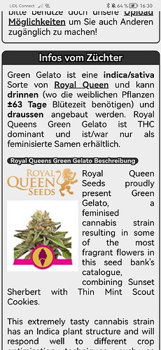 Growreport Bild 26