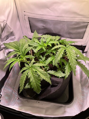 Growreport Bild 13