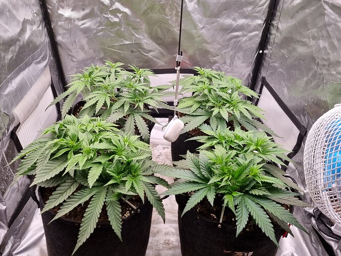 Growreport Bild 18