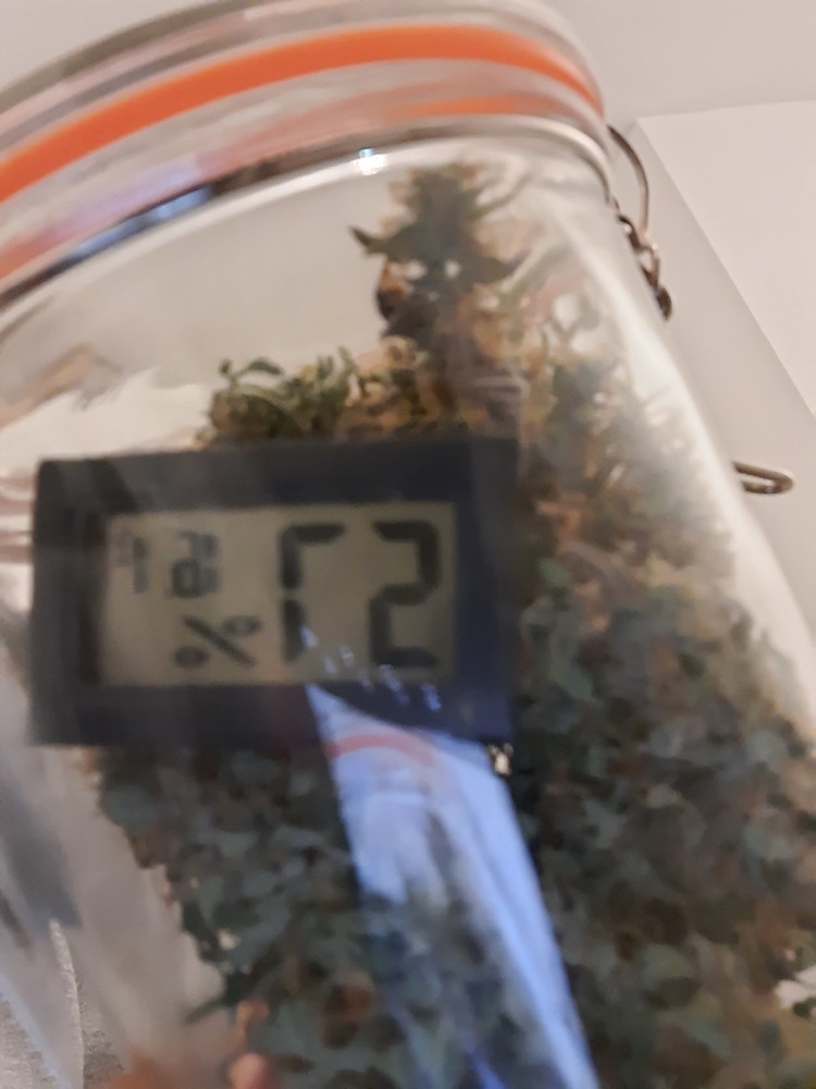 Low Budget grow 3x quick one automatic