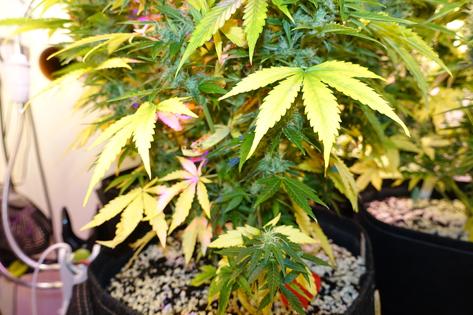 Growreport Bild 14