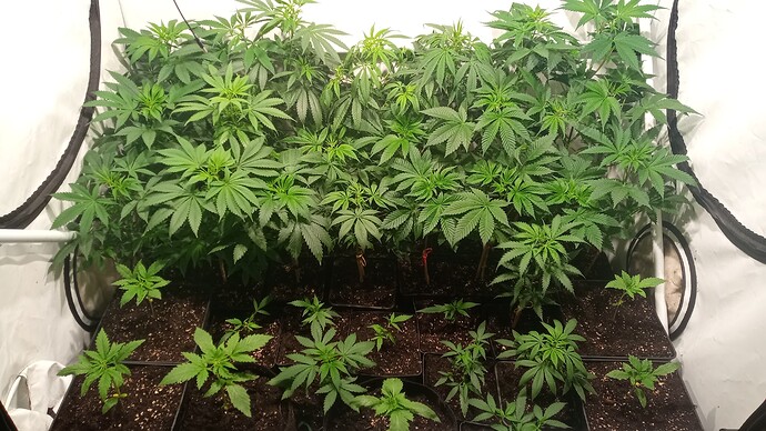 Growreport Bild 10