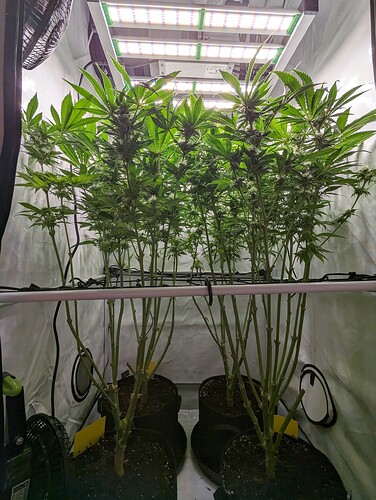 Growreport Bild 1