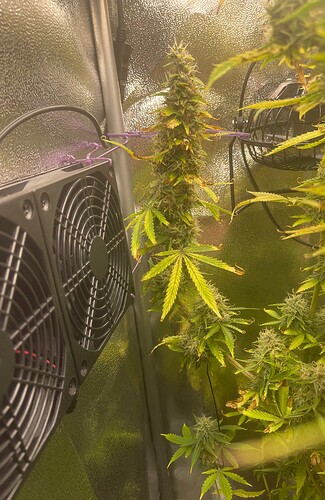Growreport Bild 6