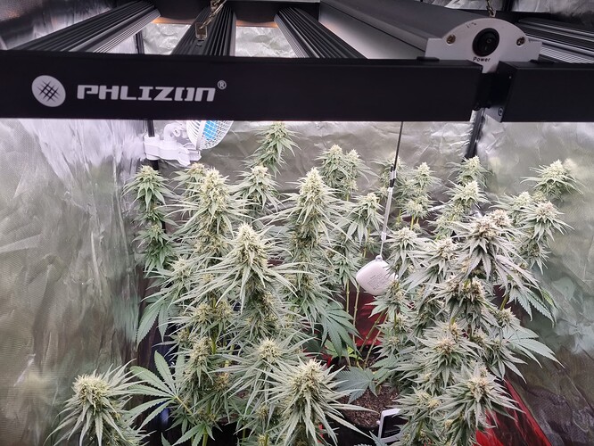 Growreport Bild 25