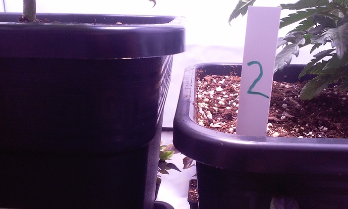 Growreport Bild 19