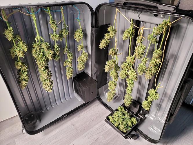 Growreport Bild 3